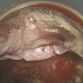 ぐでたま姉弟's cooksnap of when they made シンプルな黒そいの煮付け.