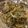 あみことまろ's cooksnap of when they made アジのパン粉焼き　バジル風味.