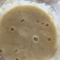 Makki203's cooksnap of when they made ホシノ天然酵母の起こし方～ホシノ生種～.