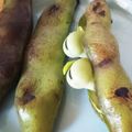 ブランシュkuu's cooksnap of when they made 焼き空豆　空豆を焼いただけ〜.