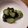 キュピコ's cooksnap of when they made 酸っぱくない♪ワカメときゅうりの酢の物☆.