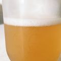 どら工場。's cooksnap of when they made 林檎で天然酵母！酵母液～元種づくりまで♪.