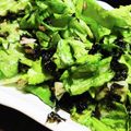 fm04's cooksnap of when they made ツナレタスサラダ.