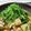 ｸﾏﾘｴ's cooksnap of when they made 豆腐とニラのピリ辛中華炒め♪♪.