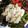 クックI5F4X8☆'s cooksnap of when they made ササミでオイマヨ炒め.