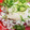 ブランシュkuu's cooksnap of when they made ♡しらすのおろし醤油♡.