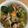 ポメちょん's cooksnap of when they made 鯖の水煮缶とたっぷりお野菜のアヒージョ.