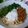 ひろりんぷー's cooksnap of when they made 夏バテに効く？　ダブル納豆　冷やしうどん.