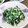 クックMO63WW☆'s cooksnap of when they made 基本のほうれん草の白和え.