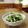inyako's cooksnap of when they made サッと1品＊豆苗の中華風前菜.