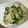papikun's cooksnap of when they made キャベツとセロリ葉のサラダ.