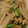 何でもかんでもみんな's cooksnap of when they made 簡単！アスパラと大根のバター炒め.