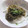 きらり流れ星's cooksnap of when they made 俺流！今が旬…めかぶと新玉ねぎ和え物.
