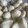 モンドセレクター's cooksnap of when they made 青森にんにくの下処理と保存と選び方.