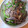 あけにゅう's cooksnap of when they made こんにゃくとピーマン、ちくわのきんぴら！.