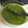 あんころもちぴっぴ's cooksnap of when they made 青シソのジェノベーゼソース.