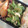 ＊ｈａｎａｃａｆｅ＊'s cooksnap of when they made お弁当のおかず☆おかかピーマン＋揚げ玉.