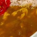 MULA's cooksnap of when they made 私の隠し味入り・カレーライス.