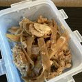 msgnb120's cooksnap of when they made ☆ごぼうと豚肉の甘辛炒め☆.