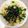 ˚✧₊⁎ゆう˚✧₊⁎'s cooksnap of when they made 鯖缶で卵かけごはん♡.