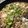 non★sugar's cooksnap of when they made シーフードパエリア.