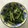 Ruriluru's cooksnap of when they made ほうれん草のお浸し.