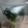 クックOSS6WV☆'s cooksnap of when they made これで長持ち！ブロッコリーの冷蔵保存法.