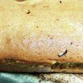 あきコットン's cooksnap of when they made 旨い！！卵１個ｄeパウンドケーキ.