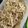 もりのりころ's cooksnap of when they made ダイエットに最強のささみともやし和え物.