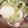 ふぁんころ's cooksnap of when they made 里芋と椎茸の味噌汁。.