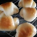 あんこだよ。's cooksnap of when they made はちみつヨーグルトロールパン HB使用.
