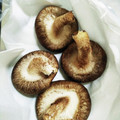 しーくれっと・らいふ's cooksnap of when they made 生椎茸保存法.