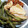 ひっこ's cooksnap of when they made 厚揚げとインゲンの煮物.