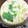 クックNSB11P☆'s cooksnap of when they made 簡単茶碗蒸し.