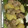 mana634's cooksnap of when they made 鶏肉とじゃがいもの塩焼き.
