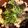 LUNAmama☆'s cooksnap of when they made 梅じゃこチャーハン.