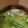 sei460407's cooksnap of when they made 簡単！青梗菜の中華スープ.