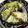 ちゃまたまご's cooksnap of when they made サラダMIXで生春巻.