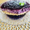 ボブナナ's cooksnap of when they made ブルーベリームースケーキ♪.