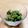 クック37e's cooksnap of when they made オクラのミョウガ和え.