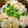 あい♪らんど's cooksnap of when they made ひらめの昆布じめにお茶漬け♪.