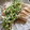 ちゃむむ。's cooksnap of when they made 塩酒粕で☆うまうま万能ネギ油.
