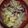 milsalud's cooksnap of when they made 鶏皮とキャベツとしめじのお味噌汁.
