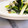 E吉☆'s cooksnap of when they made めちゃ旨！細ネギとしらすのおつまみ.