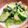 こずっぺ's cooksnap of when they made キャベツときゅうりの洋風塩もみ.