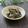 まろんかふぇ's cooksnap of when they made まぐろのお刺身と水菜の山葵マヨサラダ.