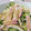 はじりく's cooksnap of when they made きゅうりのさっぱり冷汁風そうめん.