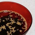 桜月❀咲良mommy's cooksnap of when they made 簡単♡即席！わかめスープ.