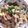 クック8THU1L☆'s cooksnap of when they made ウチのアレ♡がっつり！豚にら玉.