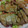 55才のおじさん's cooksnap of when they made 簡単に漬け込み♪豚ロースの味噌漬け。.